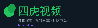 四虎视频